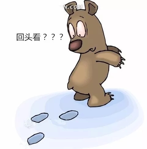 2.webp.jpg