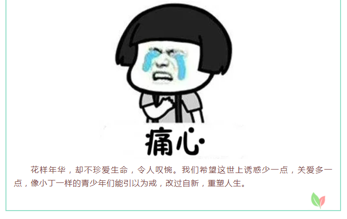 6.png